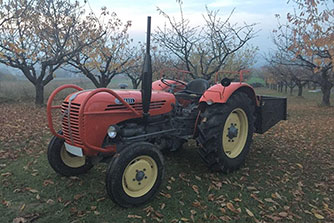 Steyr T190 mit Auspuff von PLUS Serie - Wunderschön! Christian Schütz, Osterreich