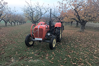 Steyr T190 mit Auspuff von PLUS Serie - Wunderschön! Christian Schütz, Osterreich