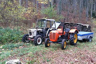 Type Steyr T190 Restauriert 2014-2015 von Dallio Daniel und Sohn Luca Dallio aus der Schweiz, Schürenmat