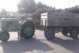 Steyr T180a Bj 1953, Hr. Pauschmann, Alle Teile und Farben bei Oldifan gekauft!