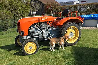 Steyr T86 BJ 1965 NÖ, mit geteilter Zierleiste T86 von Oldifan